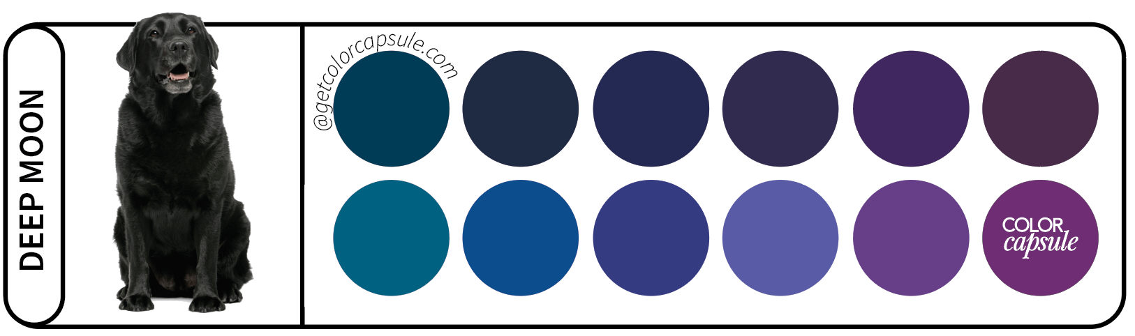 Labrador Deep Moon Dog Color Palette